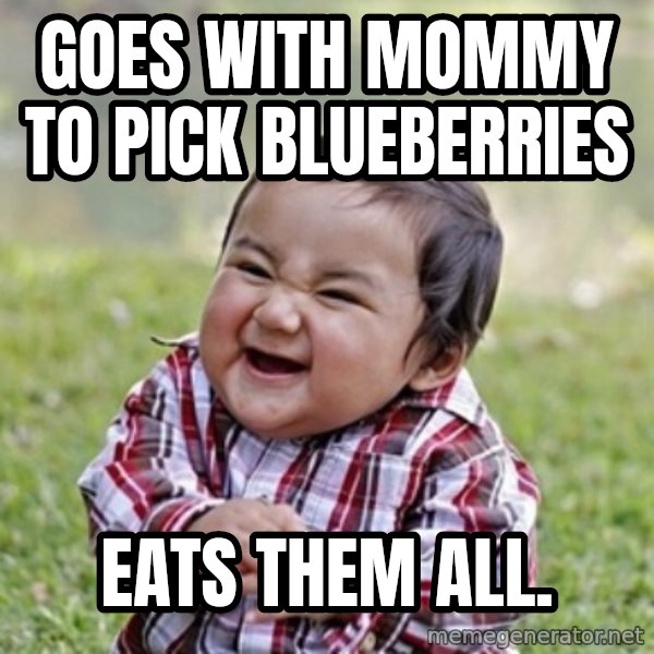 evil toddler kid2 meme: Goes with mommy to pick blueberries / eats them all.
