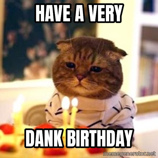 Birthday Cat meme: have a VERY / DANK BIRTHDAY