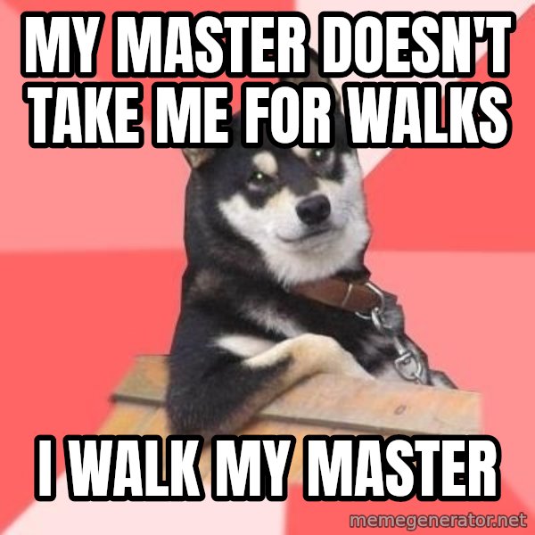 Cool Dog meme: MY MASTER DOESN'T TAKE ME FOR WALKS / I WALK MY MASTER