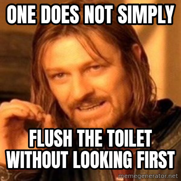 One Does Not Simply meme: one does not simply / flush the toilet without looking first