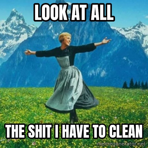 Look at All the Fucks I Give meme: look at all / the shit I have to clean