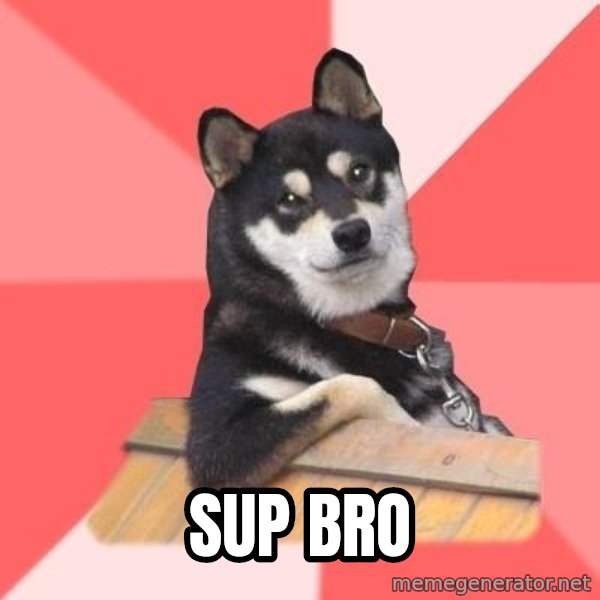 Cool Dog meme: sup bro