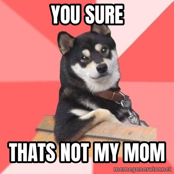 Cool Dog meme: you sure / thats not my mom