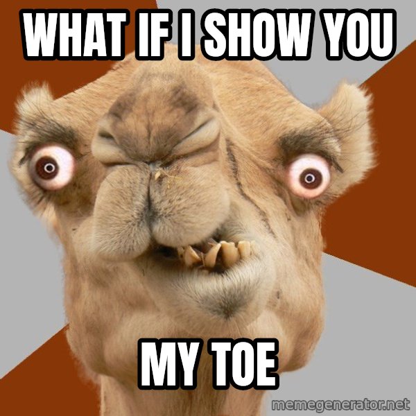 Crazy Camel lol meme: what if i show you / my toe