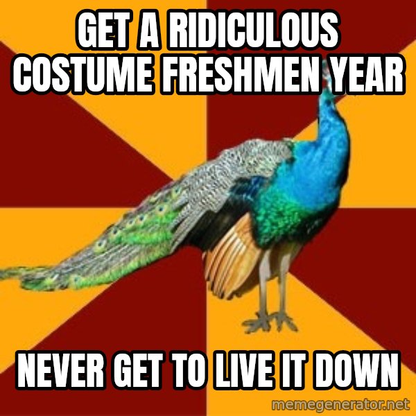 Thespian Peacock meme: get a ridiculous costume freshmen year / never get to live it down