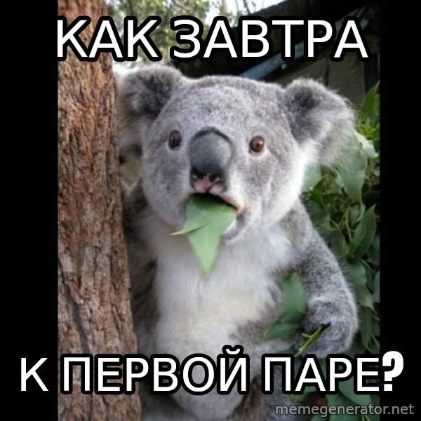 Koala can't believe it meme: как завтра / к первой паре?