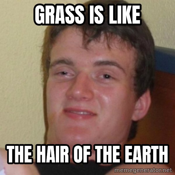Stoner Stanley meme: GRASS IS LIKE / THE HAIR OF THE EARTH