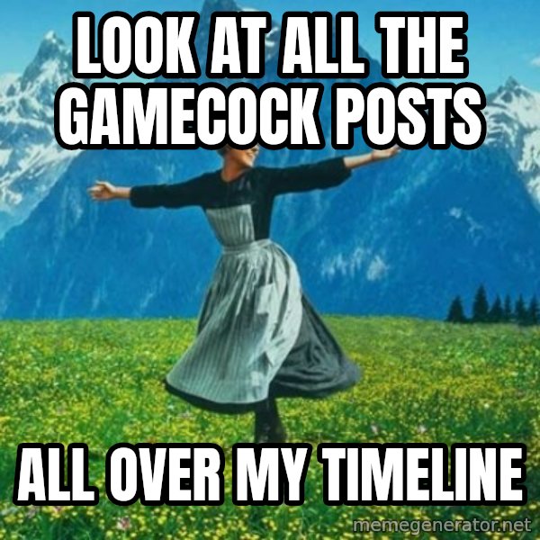 Look at All the Fucks I Give meme: look at all the gamecock posts / all over my timeline