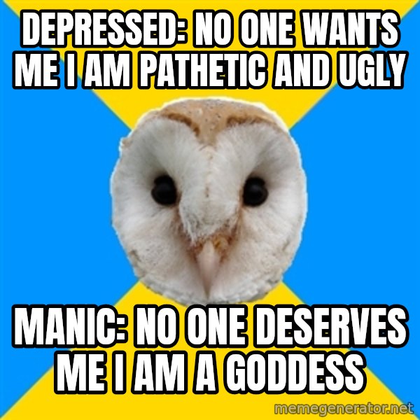 Bipolar Owl meme: Depressed: no one wants me i am pathetic and ugly / Manic: no one deserves me i am a goddess