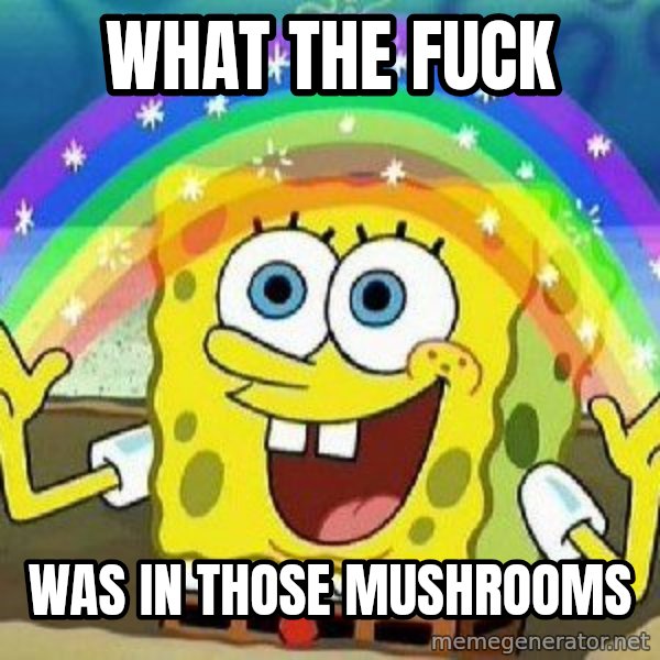 Imagination meme: what the fuck / was in those mushrooms