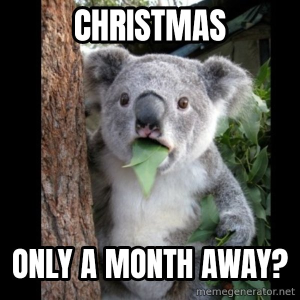 Koala can't believe it meme: christmas / only a month away?