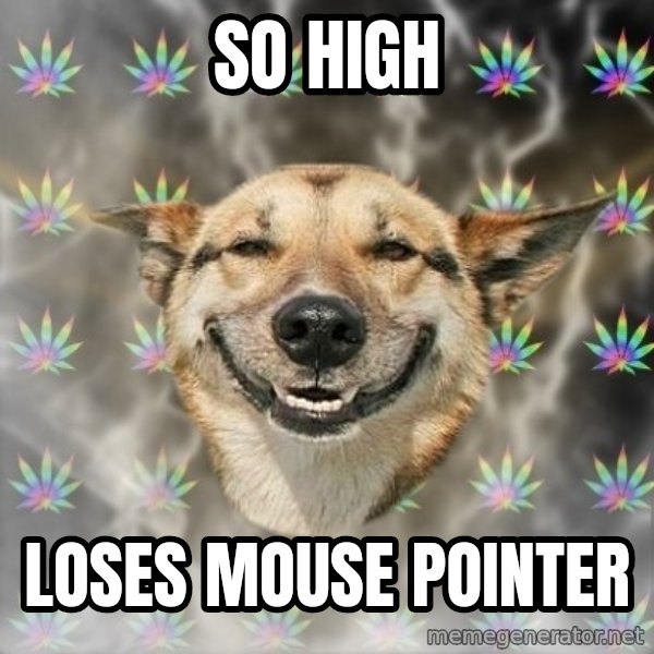 Stoner Dog meme: So High / Loses Mouse Pointer