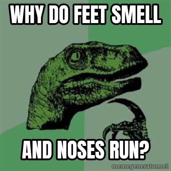 Philosoraptor meme: Why do feet smell / And noses run?