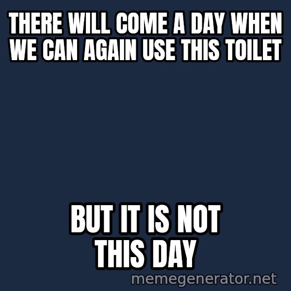 Not This Day Aragorn meme: THERE WILL COME A DAY WHEN WE CAN AGAIN USE THIS TOILET / BUT IT IS NOT THIS DAY