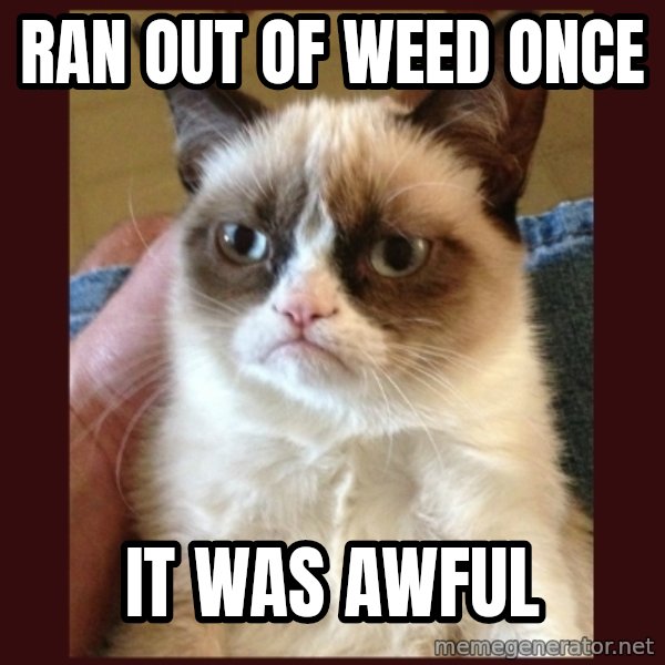 Grumpy Cat  meme: Ran out of weed once / It was awful