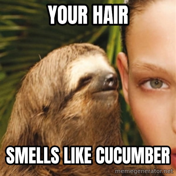 The Rape Sloth meme: your hair / smells like cucumber