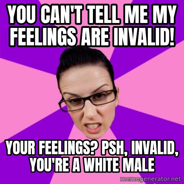 Privilege Denying Feminist meme: you can't tell me my feelings are invalid! / your feelings? psh, invalid, you're a white male