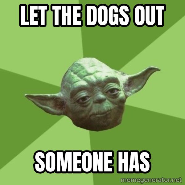 Advice Yoda Gives meme: let the dogs out / someone has