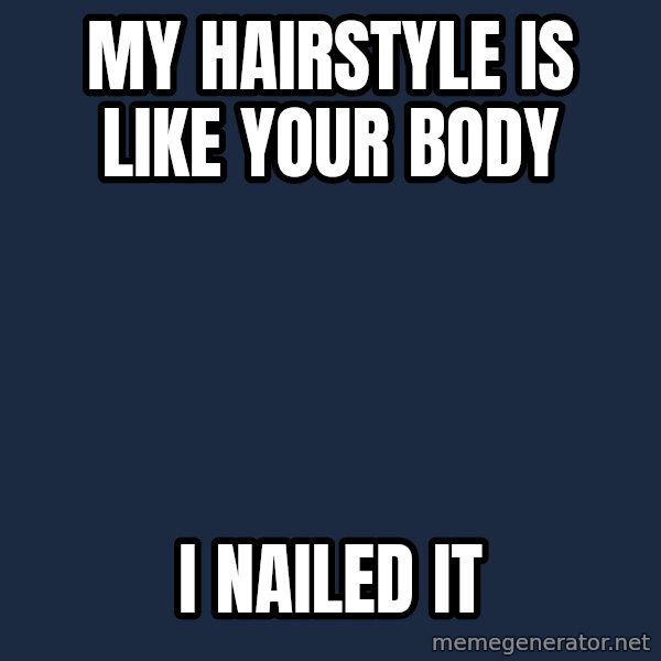 Insanity Wolf meme: my hairstyle is like your body / i nailed it