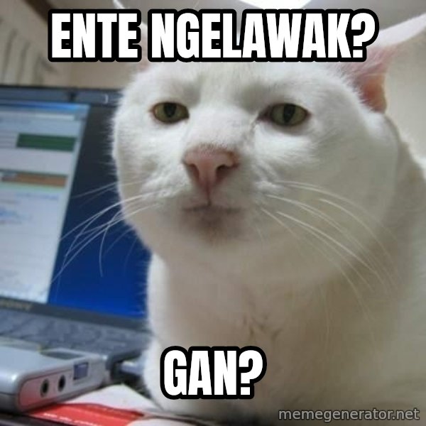 Serious Cat meme: ente ngelawak? / GAN?
