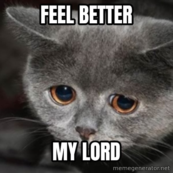 Sadcat meme: FEEL BETTER / My Lord