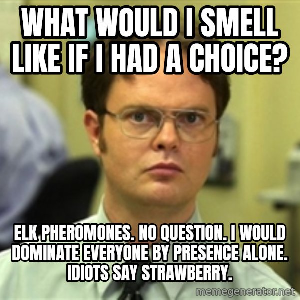 Dwight Schrute meme: what would i smell like if I had a choice? / Elk pheromones.  No question.  I would dominate everyone by presence alone. idiots say strawberry.