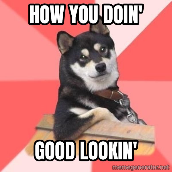 Cool Dog meme: HOW YOU DOIN' / GOOD LOOKIN'
