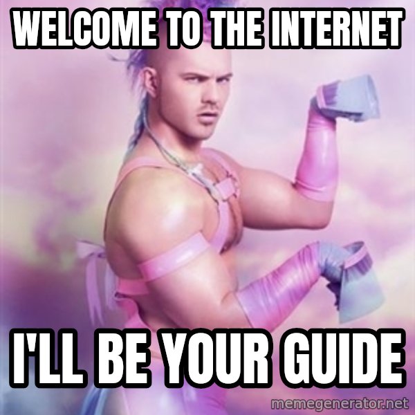 Unicorn Boy meme: Welcome to the internet / I'll be your guide