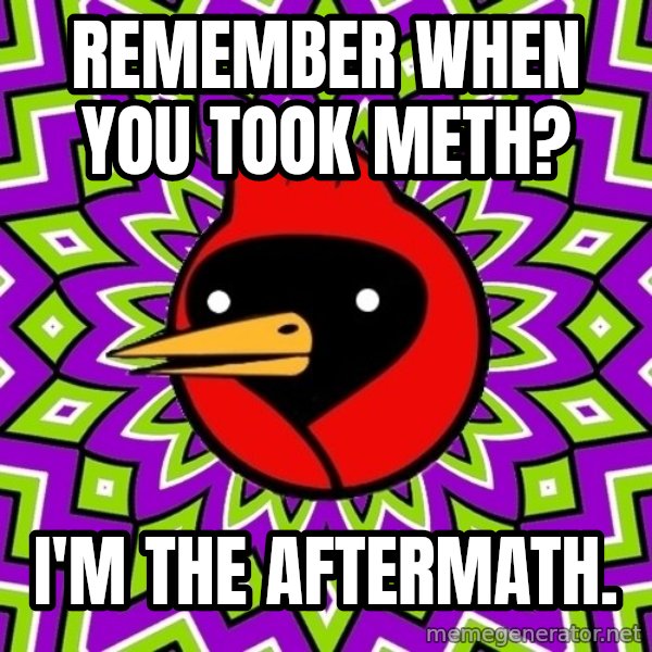Omsk Crow meme: Remember when you took meth? / I'm the aftermath.