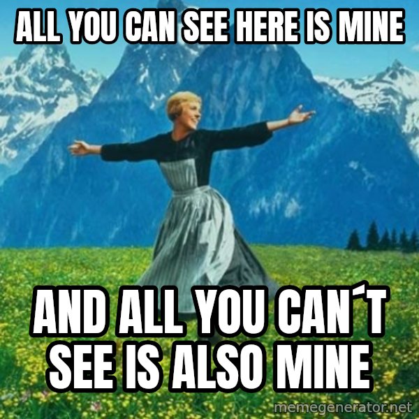Look at All the Fucks I Give meme: All you can see here is mine / and all you can´t see is also mine