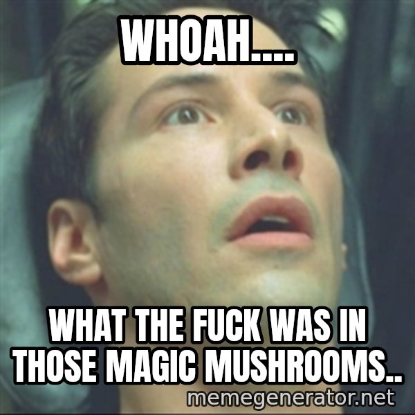 i know kung fu meme: whoah.... / what the fuck was in those magic mushrooms..