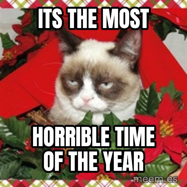 Grumpy Christmas Cat meme: Its the most / horrible time of the year