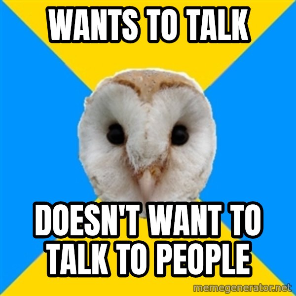 Bipolar Owl meme: Wants to talk / doesn't want to talk to people
