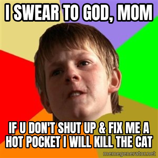 Angry School Boy meme: i swear to god, mom / if u don't shut up & fix me a hot pocket i will kill the cat