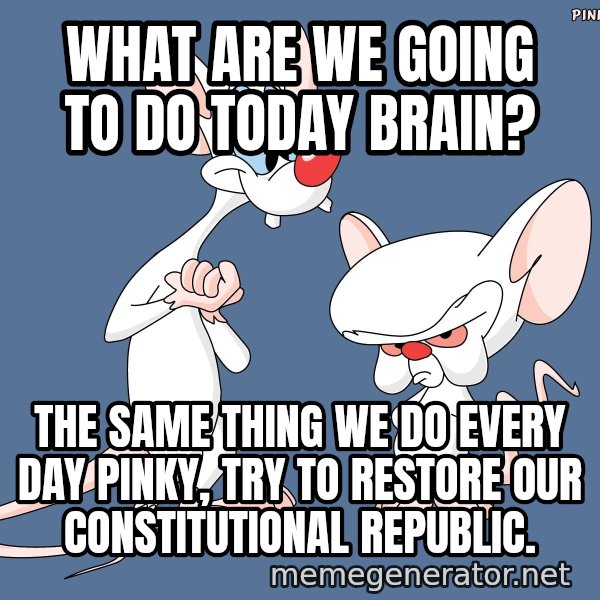 Pinky And The Brain meme: What are we going to do today brain? / The same thing we do every day pinky, try to restore our constitutional republic.