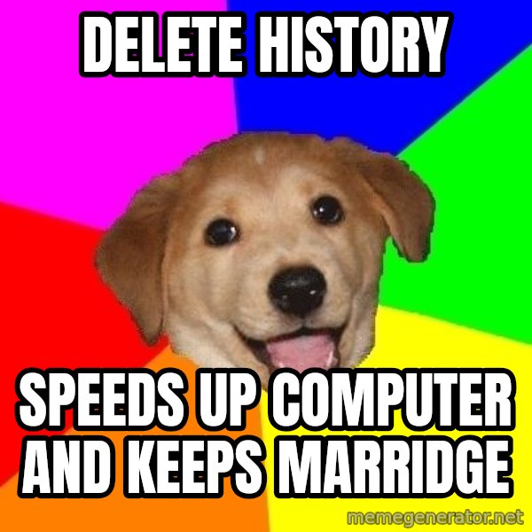 Advice Dog meme: Delete history / Speeds up computer and keeps marridge