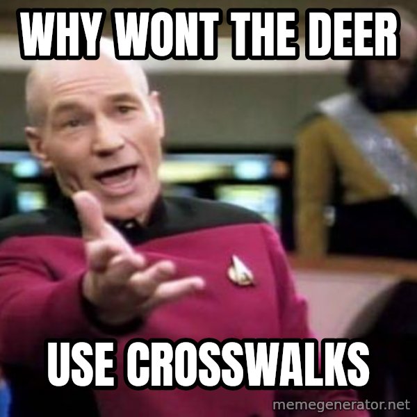 Picard Wtf meme: Why wont the deer / Use crosswalks