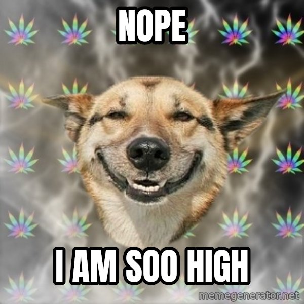 Stoner Dog meme: NOPE / I AM SOO HIGH