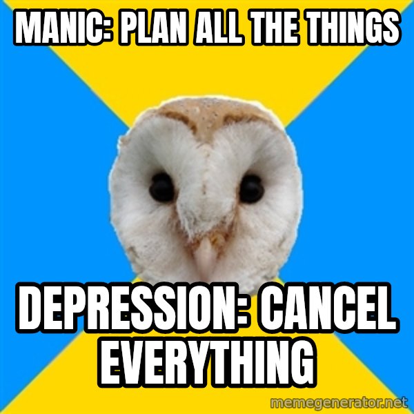 Bipolar Owl meme: MANIC: Plan all the things / DEPRESSION: CANCEL EVERYTHING
