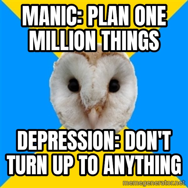 Bipolar Owl meme: MANIC: PLAN ONE MILLION THINGS / DEPRESSION: DON'T turn up to anything