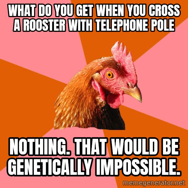 Anti Joke Chicken meme: What do you get when you cross a rooster with  telephone pole / Nothing. That would be genetically impossible.