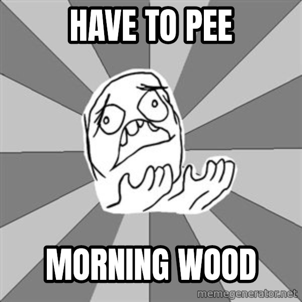 Whyyy??? meme: Have to pee / Morning wood
