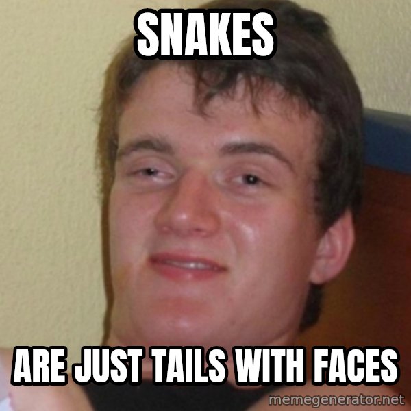 Stoner Stanley meme: snakes / aRe just tails with faces