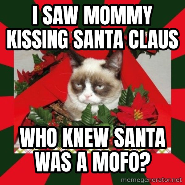 GRUMPY CAT ON CHRISTMAS meme: I saw mommy kissing santa claus / who knew santa was a mofo?