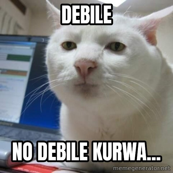 Serious Cat meme: DEBILE / NO DEBILE KURWA...