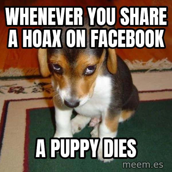 Sad Puppy meme: Whenever you share a hoax on facebook / a puppy dies
