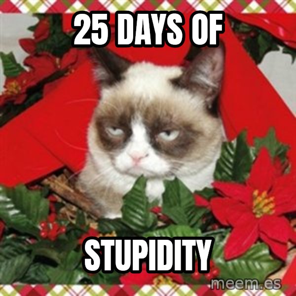 Grumpy Christmas Cat meme: 25 days of / stupidity