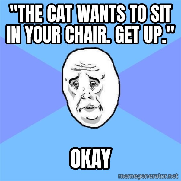 Okay Guy meme: "the cat wants to sit in your chair.  get up." / okay