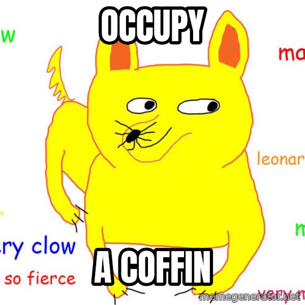 Grumpy Cat  meme: occupy / a  coffin