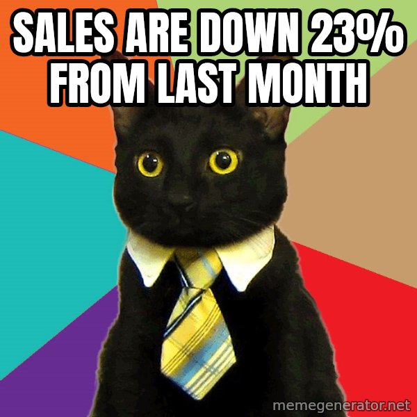 Business Cat meme: sales are down 23% from last month